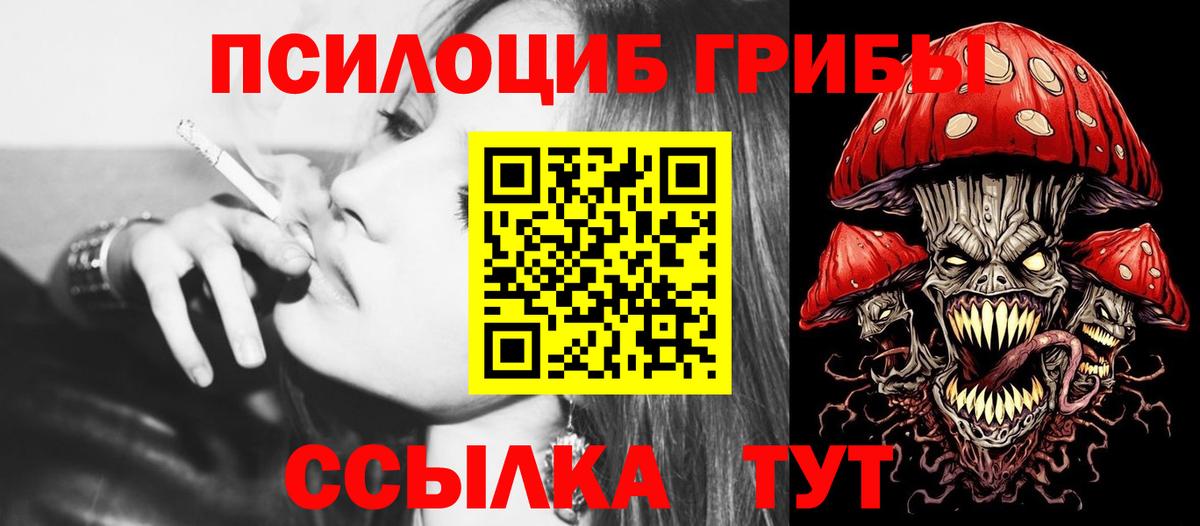 Губаха  Галлюциногенные грибы GOLDEN TEACHER  Вход с VPN  Псилоцибиновые грибы GOLDEN TEACHER 